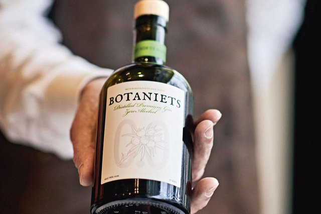 Botaniets, un vrai gin mais sans alcool