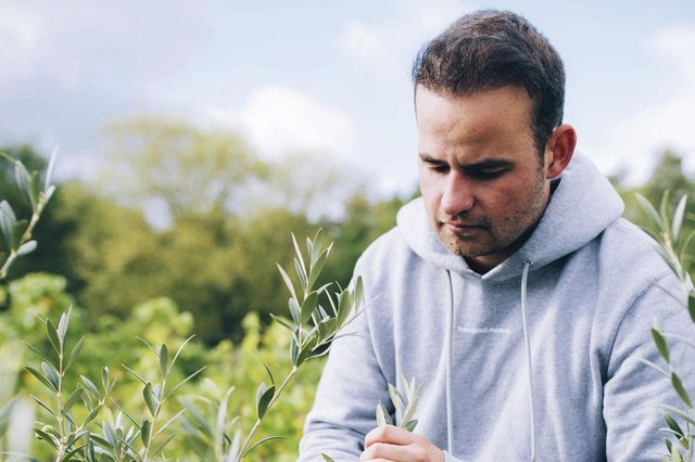 Voyants au vert pour l'olive belge