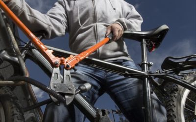 Des vélos plus populaires… et plus volés
