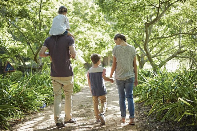 Vers une suppression de l'expression “bon père de famille”