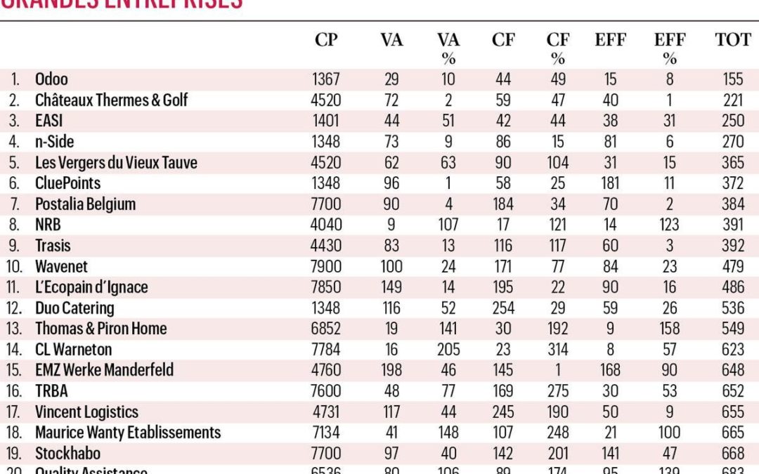Gazelles Wallonie 2021 “Grandes entreprises”: Odoo, championne toutes catégories