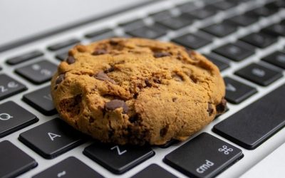 Des militants à l'offensive contre la “terreur” des cookies sur Internet