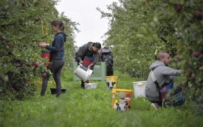 Rêver de remettre le pied à l'étrier: vers des territoires zéro chômeur de longue durée?