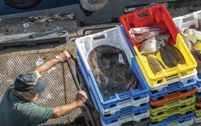Les pêcheurs n'ont plus la pêche