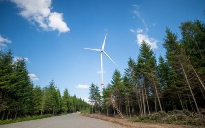 De l'intelligence artificielle pour “débrider” les éoliennes
