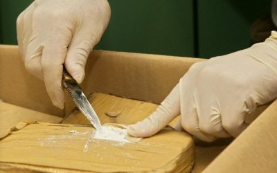 La pandémie n'a absolument aucun impact sur le marché européen de la drogue
