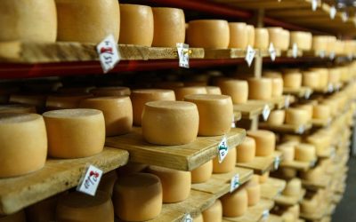 Les produits laitiers ont toujours la cote en Belgique