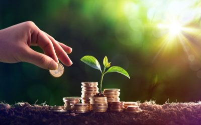 Près de 100 milliards d'euros de fonds de placement belges tournés vers la durabilité