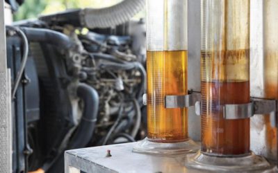 “Notre addiction aux agrocarburants bafoue les droits humains au Pérou”