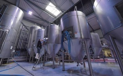 Une année catastrophique pour les brasseries belges