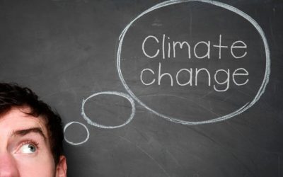 Plusieurs scénarios sur la table pour une Belgique climatiquement neutre en 2050