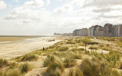 Knokke-Heist: l'offre ne suit pas