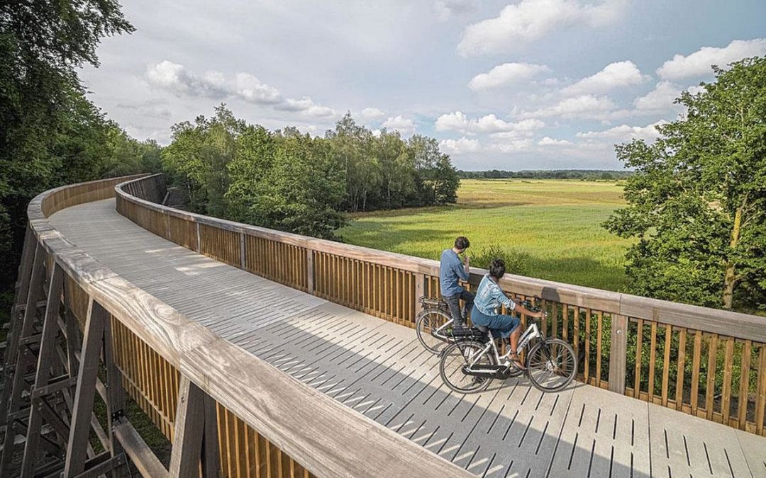 Une nouvelle route cyclable dans le Limbourg, au-dessus des bruyères pourpres