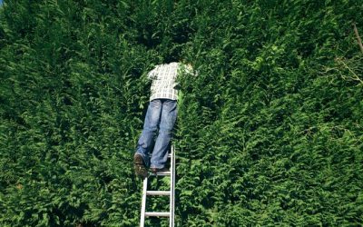 “A partir du 1er septembre, le jardin de votre voisin sera aussi un peu le vôtre”