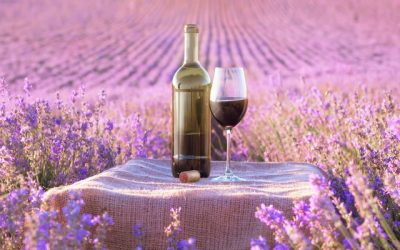 Le vin français s'est lancé dans une course contre la montre pour s'adapter au changement climatique