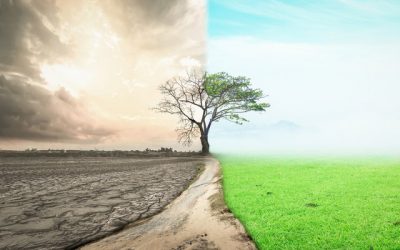 Politique climatique: “l'équation est peut-être simple mais elle est politiquement très délicate”