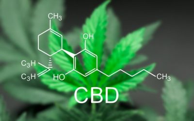 Le marché du cannabis légal pousse à grande vitesse au Royaume-Uni