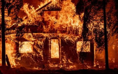 Le vrai éco-réalisme vient des climatologues