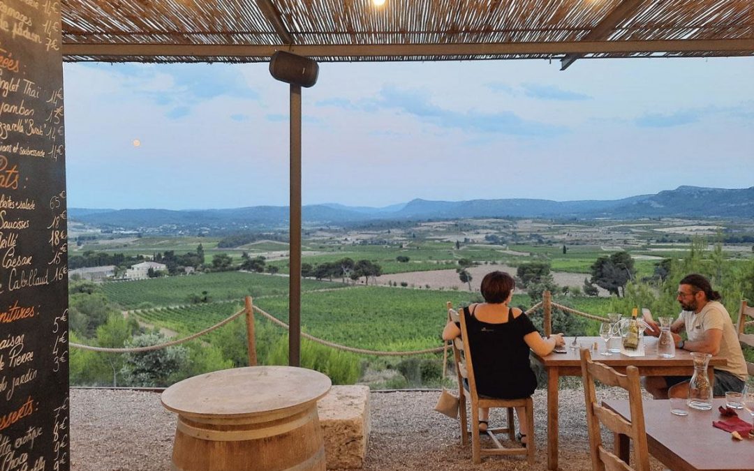 Artisans Partisans: trois vignobles en bio