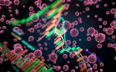 La reprise de l'économie mondiale sera “très inégale” selon les anticipations de l'OCDE