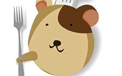 Localimus, le restaurant d'entreprise digital