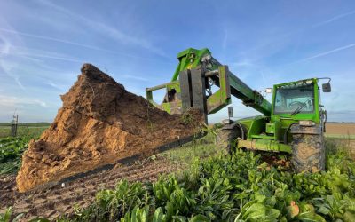 Soil Capital: quand l'agriculture stocke le CO2