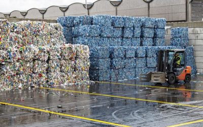 Innovation dans le recyclage du plastique: beau bulletin pour la Belgique