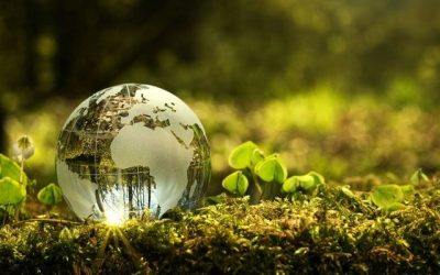 Taxes environnementales: la part des ménages en hausse, au profit des entreprises