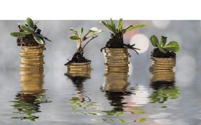 Placements: les investissements durables sont-ils nuisibles?