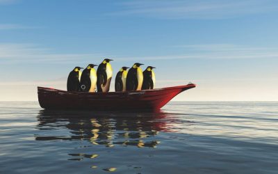 La transition économique en faveur du climat est trop lente