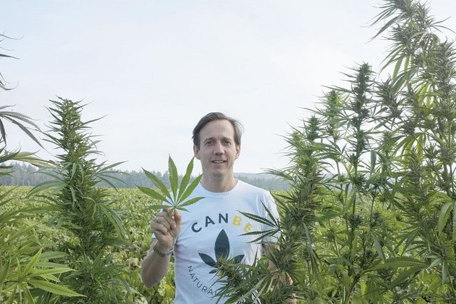 Le CBD, un produit durable d'avenir