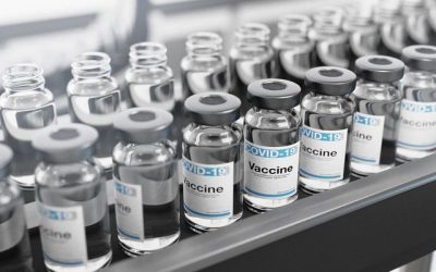 Coronavirus: une disparition progressive