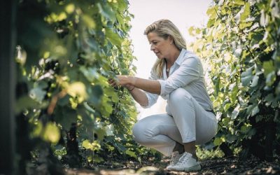 Eole: la Maison après le Chant