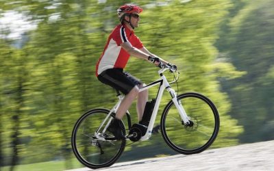La vente de speed pedelecs en légère baisse en 2021