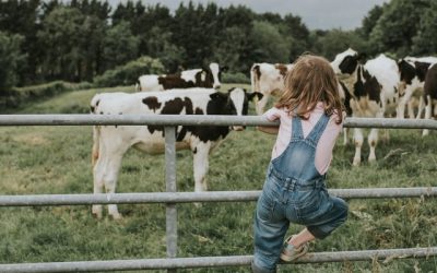 Une levée de fonds pour créer une ferme partagée à Profondeville