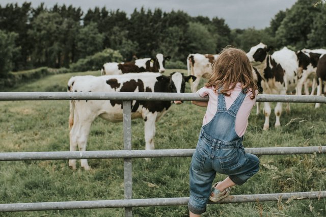 Une levée de fonds pour créer une ferme partagée à Profondeville