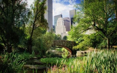 Immo: un appartement au coeur de New York vendu 190 millions de dollars