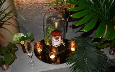 Francis Debeuckelaere (Bacardi): “L'apéritif est de retour”