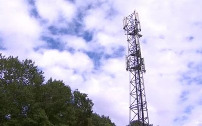 Télécoms : “les marques historiques font souvent partie des plus chères du marché”