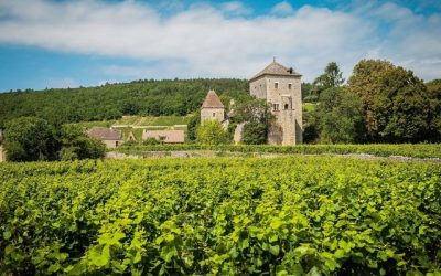 Nouveau record à l'export pour les vins de Bourgogne en 2021 avant les difficultés dues au gel