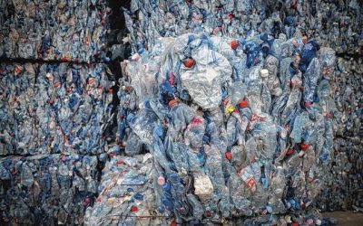 Deuxième usine wallonne pour Fost Plus qui s'installe à Neufchâteau