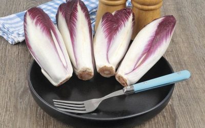 Bientôt des chicons sans amertume?