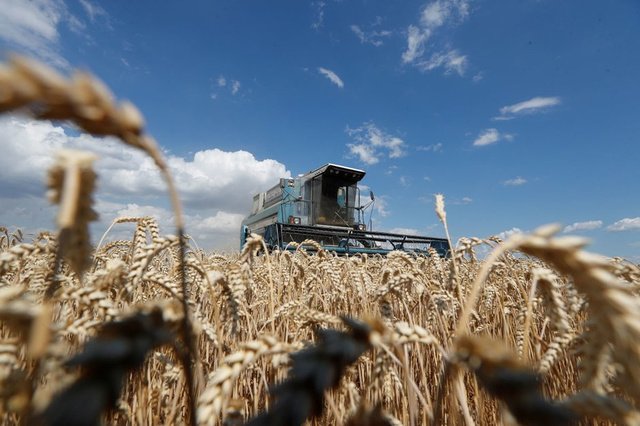 Tom Van Goey, agriculteur en Ukraine : “Poutine s'est mis tous les Ukrainiens à dos”