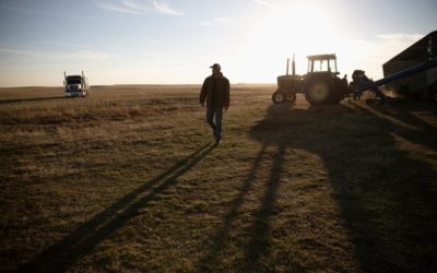 Le marché a “faim de céréales” mais la volatilité reste de mise