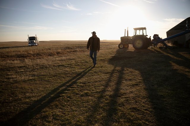 Le marché a “faim de céréales” mais la volatilité reste de mise